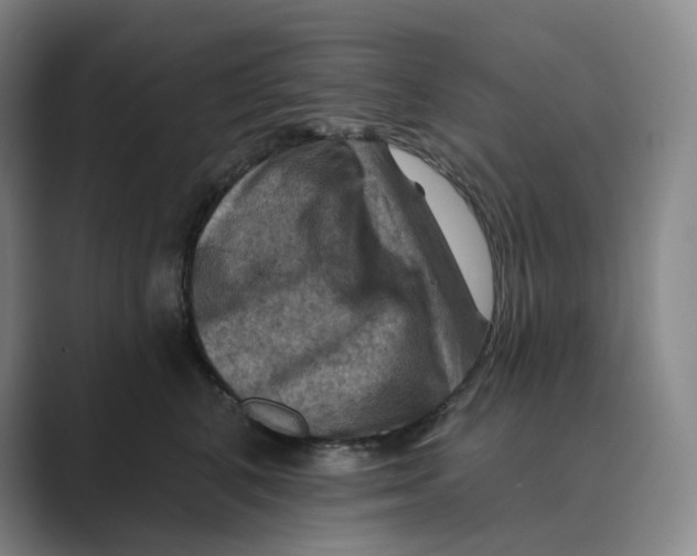 X0000088750616200706282206