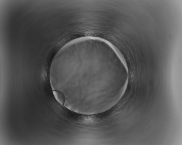 X0000088750618200706282206