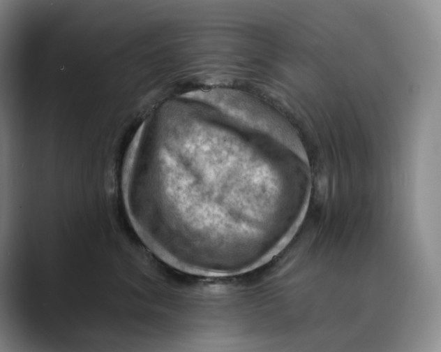 X0000088750620200706282206