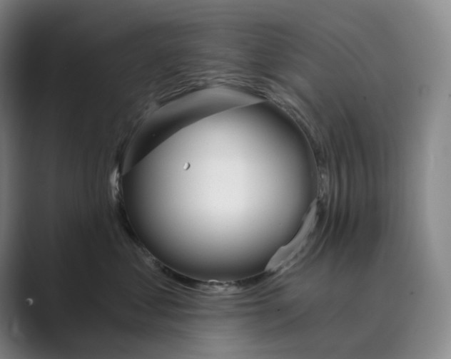 X0000088750621200706282206