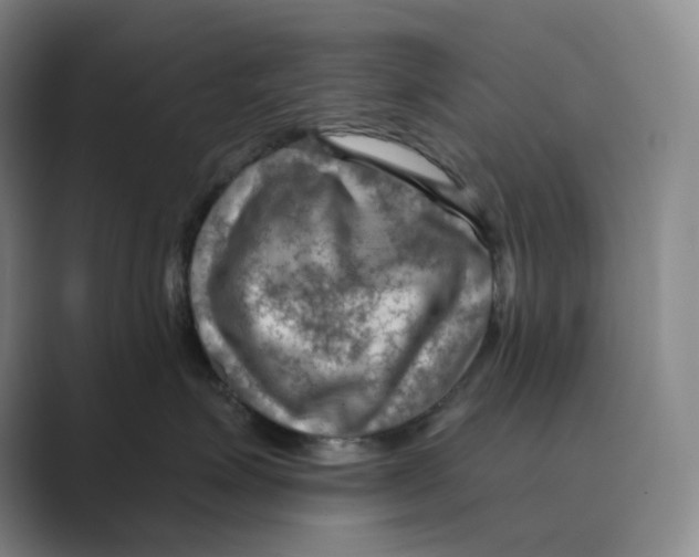 X0000088750623200706282206