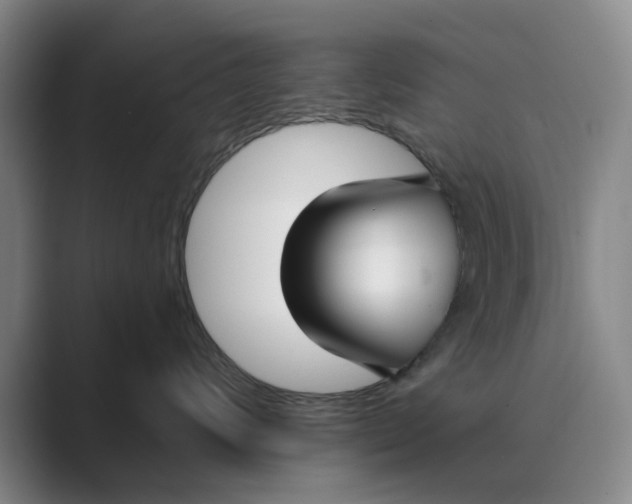 X0000088750624200706282206