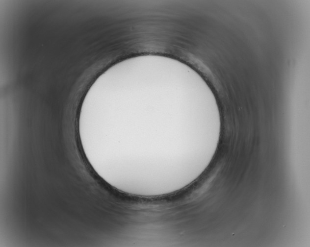 X0000088750625200706282206