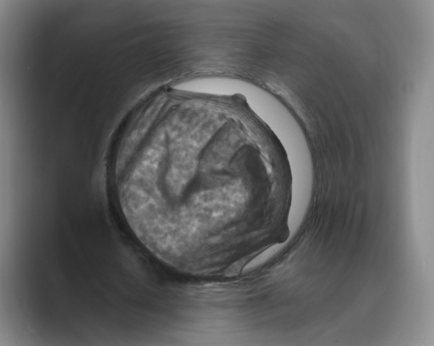 X0000088750626200706282206