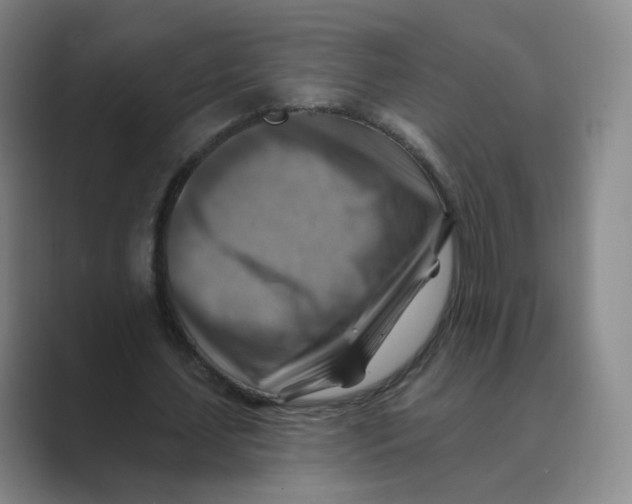 X0000088750627200706282206