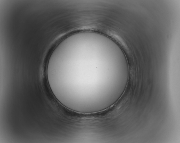 X0000088750628200706282206