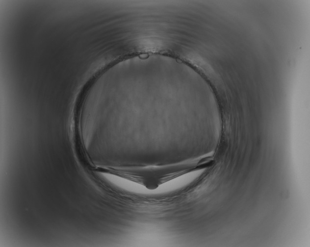 X0000088750630200706282206