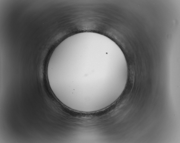 X0000088750631200706282206