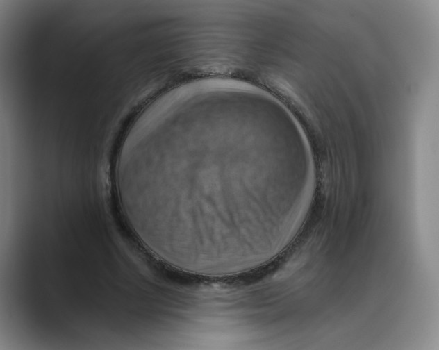 X0000088750634200706282206