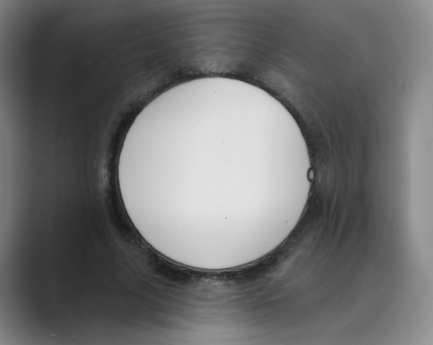 X0000088750635200706282206