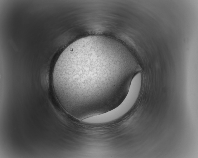 X0000088750638200706282206