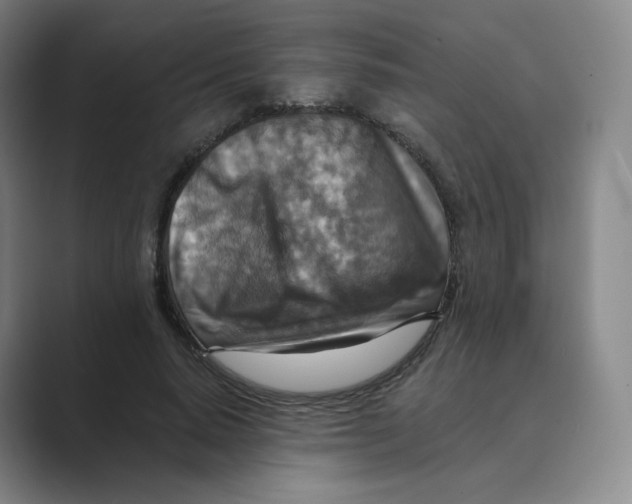 X0000088750640200706282206