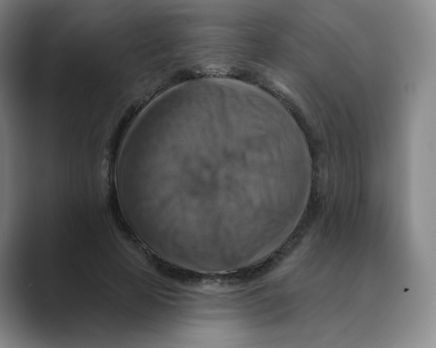 X0000088750641200706282206