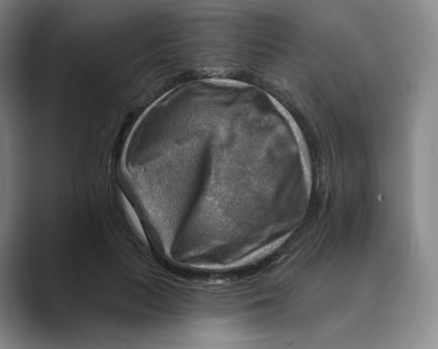 X0000088750647200706282206