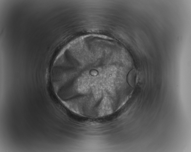 X0000088750648200706282206