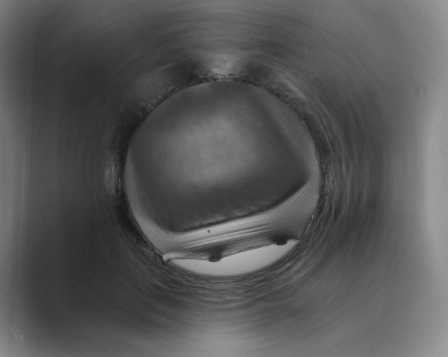 X0000088750651200706282206