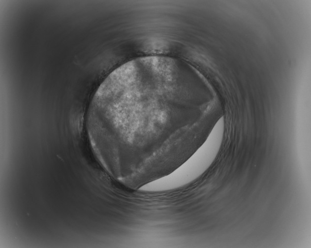 X0000088750652200706282206