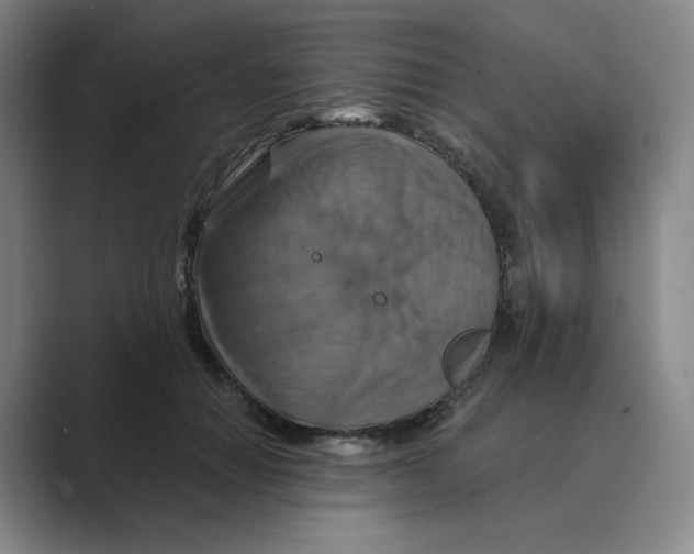 X0000088750654200706282206