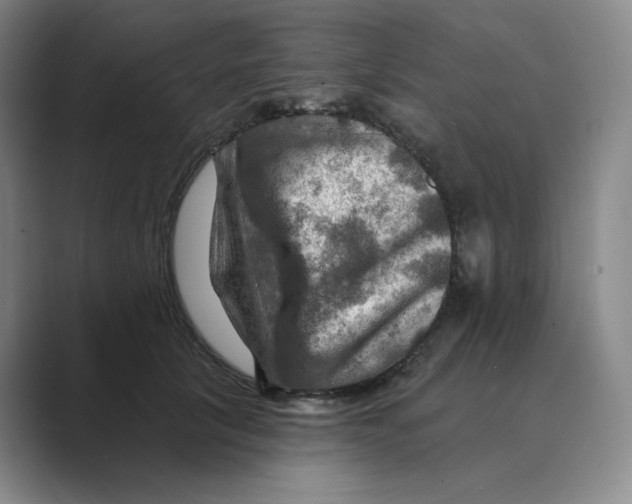 X0000088750657200706282206