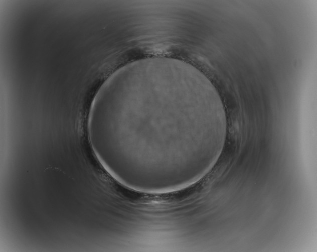 X0000088750658200706282206