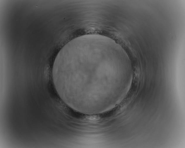 X0000088750659200706282206