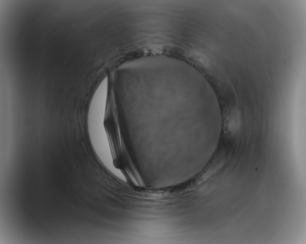 X0000088750661200706282206