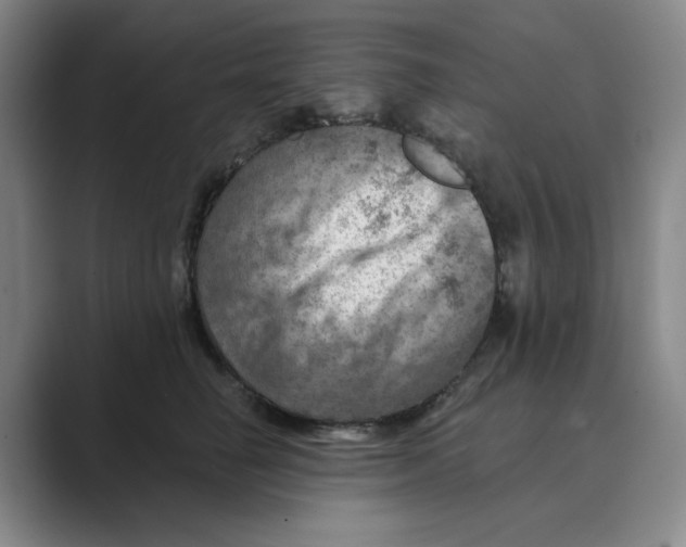 X0000088750662200706282206