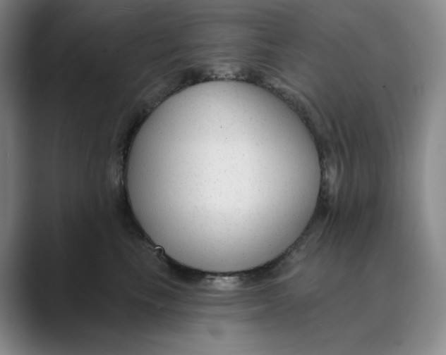 X0000088750665200706282206