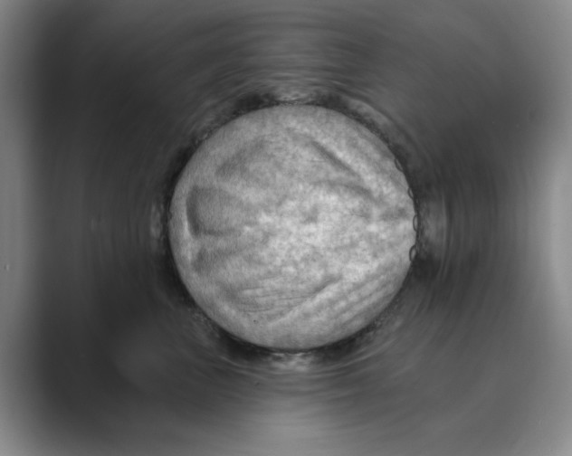 X0000088750667200706282206