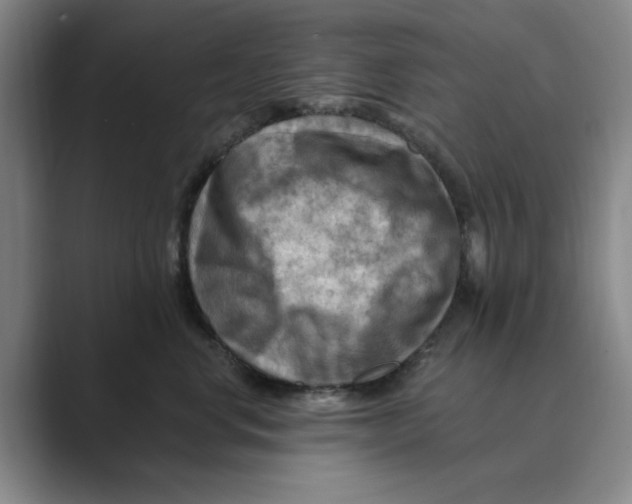 X0000088750668200706282206