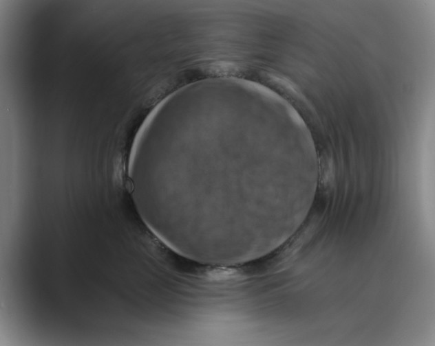 X0000088750669200706282206