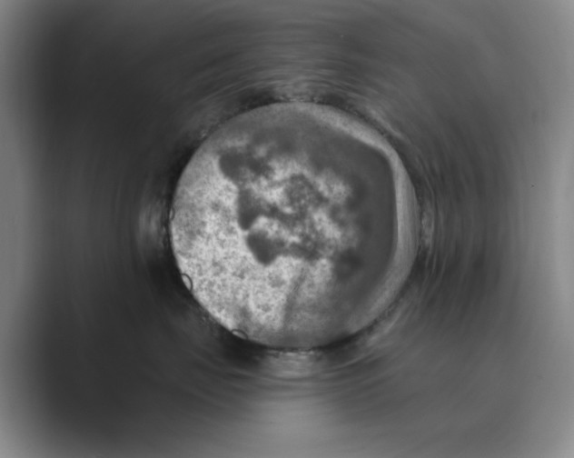 X0000088750671200706282206