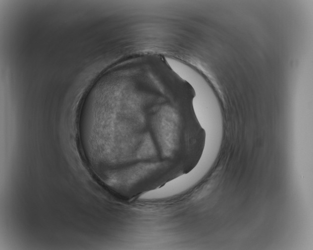 X0000088750673200706282206