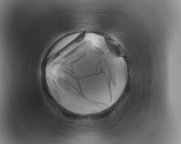 X0000088750674200706282206