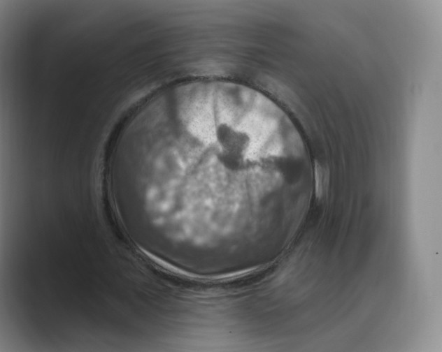 X0000088750675200706282206