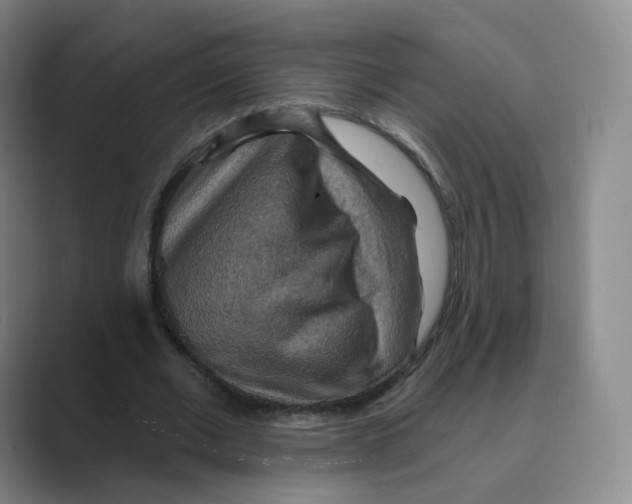 X0000088750677200706282206