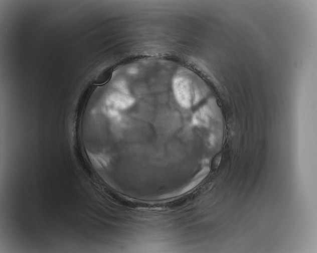 X0000088750679200706282206