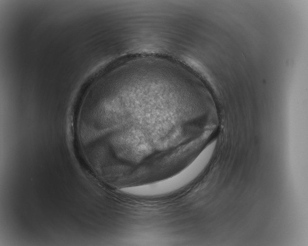 X0000088750680200706282206