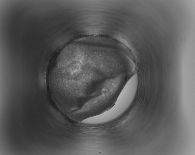 X0000088750681200706282205