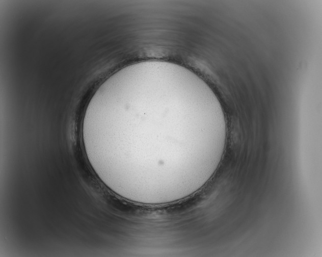 X0000088750683200706282205