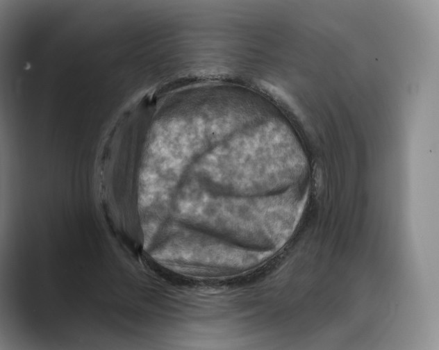 X0000088750684200706282205