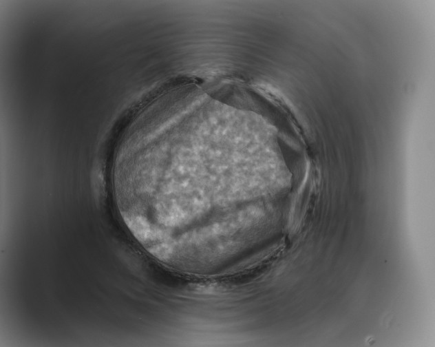 X0000088750688200706282205