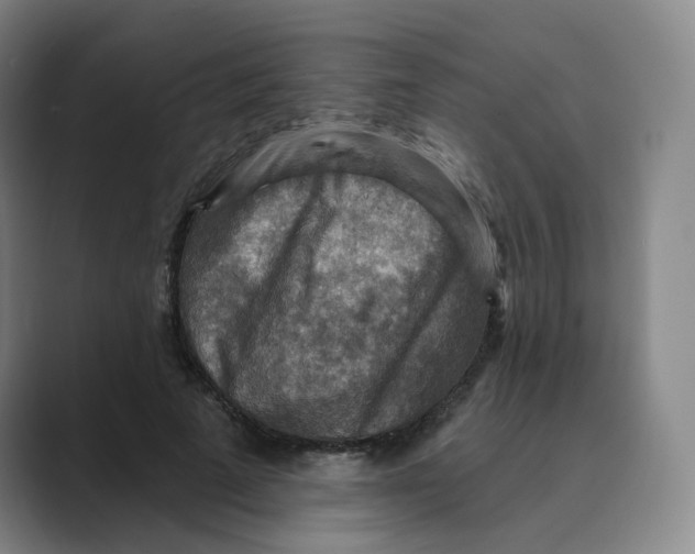 X0000088750689200706282205