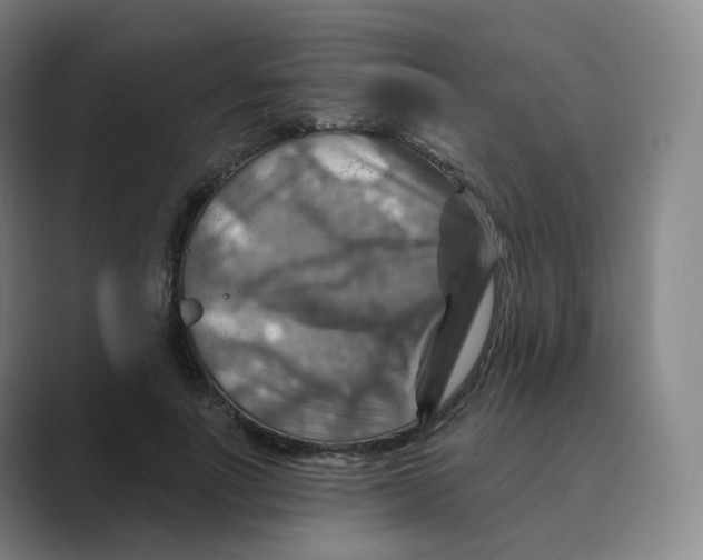 X0000088750691200706282205