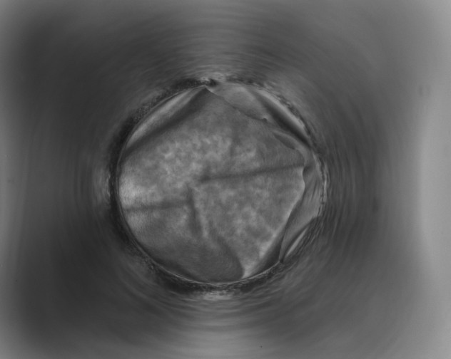 X0000088750692200706282205