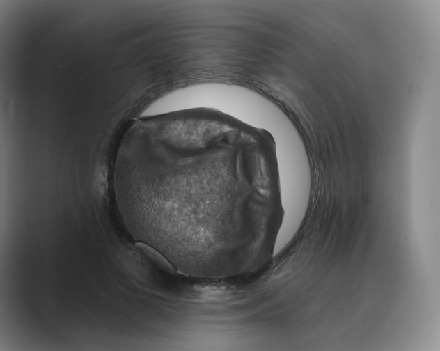 X0000088750693200706282205