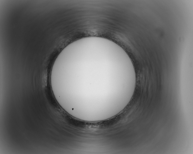 X0000088750694200706282205