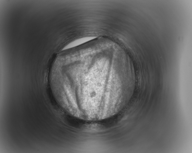 X0000088750695200706282205