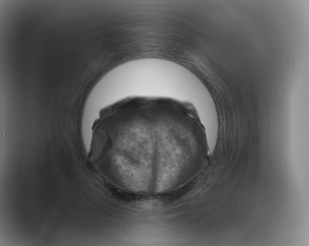 X0000088750696200706282205