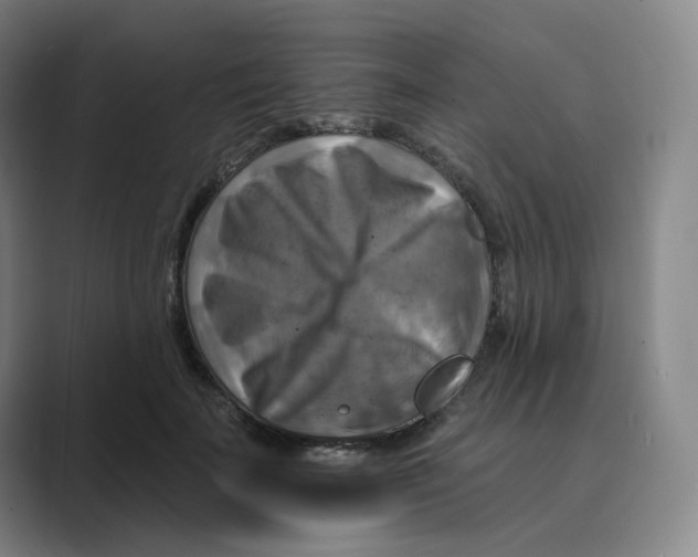 X0000088750699200706282205